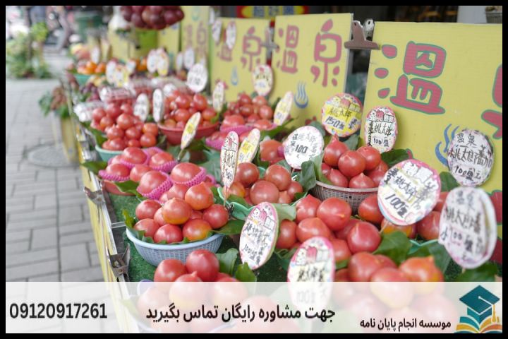 هزینه و قیمت انجام پروپوزال در شهرک ژاندارمری + تضمینی — تصویر 2